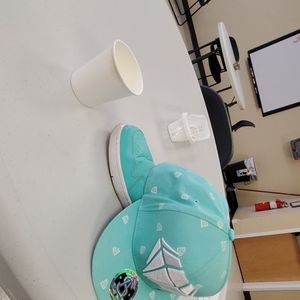 Imselling these teal green jordan with  snapback h